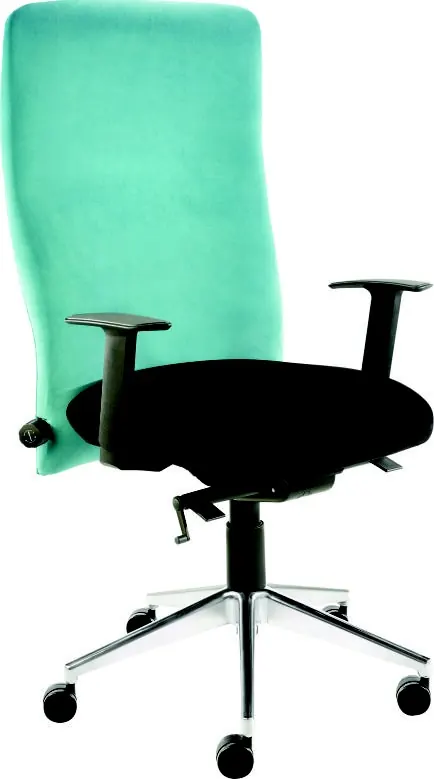 Lumbar Pro Chair